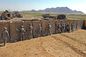 Mil Gabion Mesh Hesco Kum Torbaları Çit Bastion Bariyer Dolgu Duvar Ordu Koruma Tedarikçi